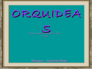 ORQUIDEAS Musique :  Automne Rose SON EXACTAMENTE LAS  16:58   