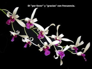 Di “por favor” y "gracias" con frecuencia.  