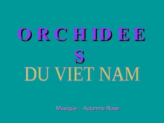 ORCHIDEES Musique :  Automne Rose DU VIET NAM 