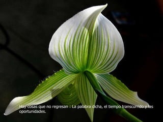 Hay cosas que no regresan : La palabra dicha, el tiempo transcurrido y las oportunidades. 