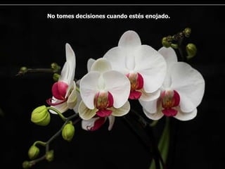 No tomes decisiones cuando estés enojado.   