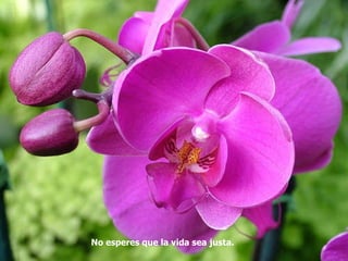 No esperes que la vida sea justa.   