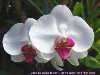 Don’t be afraid to say “I don’t know” and “I’m sorry   