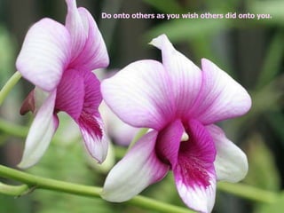 Do onto others as you wish others did onto you.  