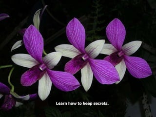 Learn how to keep secrets.  