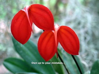 Own up to your mistakes. 