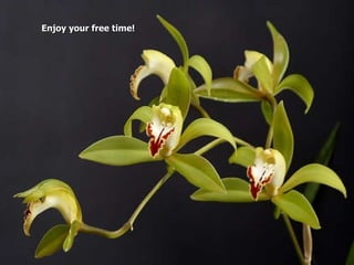 Enjoy your free time! 