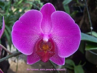 Be honest, earn people’s respect.  