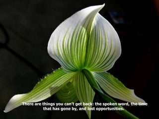 There are things you can’t get back: the spoken word, the time that has gone by, and lost opportunities.  