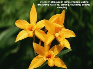 Discover pleasure in simple things: eating, breathing, walking, tasting, touching, seeing, sleeping…  