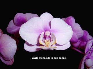 Gasta menos de lo que ganas.
 