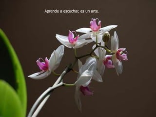 Aprende a escuchar, es un arte.
 