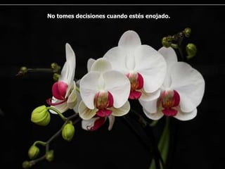 No tomes decisiones cuando estés enojado.
 