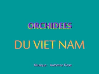 ORCHIDEES
Musique : Automne Rose
 