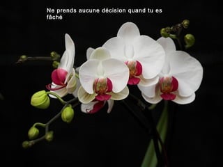 Ne prends aucune décision quand tu es
fâché
 