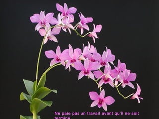 Ne paie pas un travail avant qu’il ne soit
 