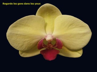 Regarde les gens dans les yeux 