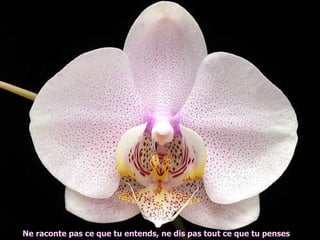 Ne raconte pas ce que tu entends, ne dis pas tout ce que tu penses 