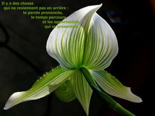 Il y a des choses  qui ne reviennent pas en arrière :  la parole prononcée,  le temps parcouru,  et les opportunités  qui se présentent 