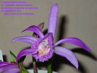 L’immortalité existe,  on l’appelle connaissance,  demande ce que tu ne sais pas  et rappelle-t-en  pour si on te le demande 