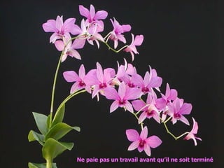 Ne paie pas un travail avant qu’il ne soit terminé   