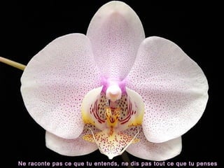 Ne raconte pas ce que tu entends, ne dis pas tout ce que tu penses

 