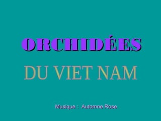 Orchidees du viet_nam