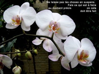 Ne laisse pas les choses en suspens.
                Fais ce qui est à faire
 au moment précis              où cela
                         doit être fait
 