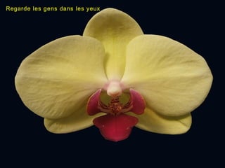 Regarde les gens dans les yeux
 