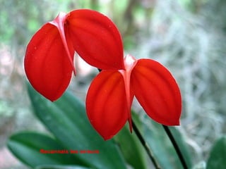 Reconnais tes erreurs
 