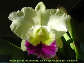 Plutôt que de les critiquer, fais l’éloge de ceux qui t’entourent
 