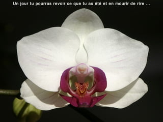 Un jour tu pourras revoir ce que tu as été et en mourir de rire …
 