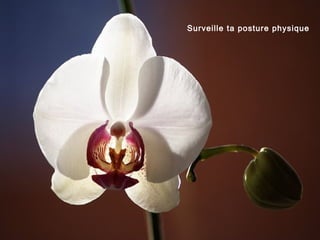 Surveille ta posture physique
 