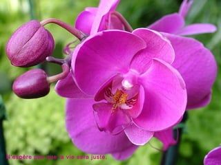 N’espère pas que la vie sera juste.
 