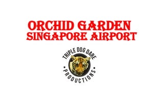 ORCHID GARDEN
SINGAPORE AIRPORT
 