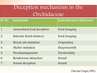 Deception mechanism in the
Orchidaceae
Sl. No. mechanism Exploited insect behaviour
1 Generalised food deception Food foraging
2 Batesian floral mimicry Food foraging
3 Brood-site imitation Oviposition
4 Shelter imitation Sleep/warmth
5 Pseudoantagonism Territoriality
6 Rendezvous attraction Sexual
7 Sexual deception Sexual
(Van der Cingel,1995)
 