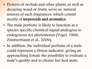 • Flowers of orchids and other plants, as well as
decaying wood or fruits, serve as natural
sources of such fragrances, which consist
mostly of terpenoids and aromatics.
• The male perfume is likely to function as a
species specific chemical signal analogous to
endogenous sex pheromones (Vogel, 1966;
Zimmermann et al., 2006).
• In addition, the individual perfume of a male
could represent a fitness indicator, giving an
approaching female the possibility to evaluate a
male’s quality and to choose her best mate.
 