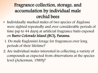 Fragrance collection, storage, and
accumulation by individual male
orchid bees
• Individually marked males of two species of Euglossa
were sighted repeatedly and over considerable periods of
time (up to 44 days) at artificial fragrance baits exposed
on Barro Colorado Island (BCI), Panama.
1. Do male Euglossini forage for fragrances over long
periods of their lifetime?
2. Are individual males interested in collecting a variety of
compounds as expected from observations at the species
level (Ackerman, 1989)?
 