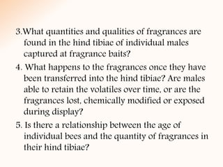 3.What quantities and qualities of fragrances are
found in the hind tibiae of individual males
captured at fragrance baits?
4. What happens to the fragrances once they have
been transferred into the hind tibiae? Are males
able to retain the volatiles over time, or are the
fragrances lost, chemically modified or exposed
during display?
5. Is there a relationship between the age of
individual bees and the quantity of fragrances in
their hind tibiae?
 