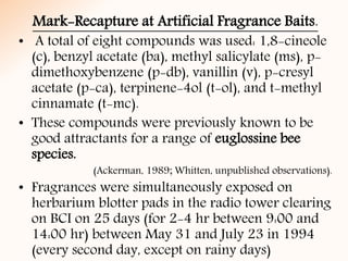 Mark-Recapture at Artificial Fragrance Baits.
• A total of eight compounds was used: 1,8-cineole
(c), benzyl acetate (ba), methyl salicylate (ms), p-
dimethoxybenzene (p-db), vanillin (v), p-cresyl
acetate (p-ca), terpinene-4ol (t-ol), and t-methyl
cinnamate (t-mc).
• These compounds were previously known to be
good attractants for a range of euglossine bee
species.
(Ackerman, 1989; Whitten, unpublished observations).
• Fragrances were simultaneously exposed on
herbarium blotter pads in the radio tower clearing
on BCI on 25 days (for 2-4 hr between 9:00 and
14:00 hr) between May 31 and July 23 in 1994
(every second day, except on rainy days)
 