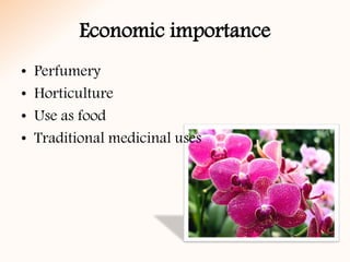Economic importance
• Perfumery
• Horticulture
• Use as food
• Traditional medicinal uses
 