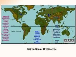 Distribution of Orchidaceae
 