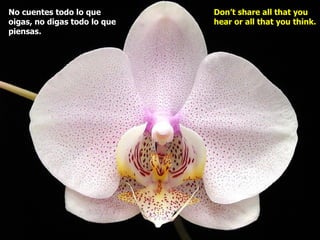 No cuentes todo lo que        Don’t share all that you
oigas, no digas todo lo que   hear or all that you think.
piensas.
 