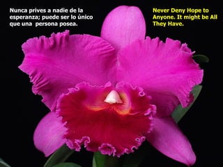 Nunca prives a nadie de la      Never Deny Hope to
esperanza; puede ser lo único   Anyone. It might be All
que una persona posea.          They Have.
 