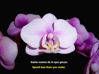 Gasta menos de lo que ganas.   Spend less than you make.   