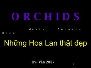 O R C H I D S Những Hoa Lan thật đẹp Hy-Văn 2007 Music:  Automne Rose Auto 