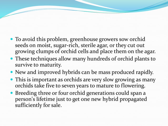 Orchids | PPTX | Gardening | Home & Garden