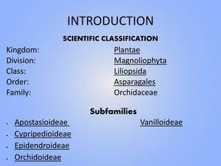 INTRODUCTION
Kingdom: Plantae
Division: Magnoliophyta
Class: Liliopsida
Order: Asparagales
Family: Orchidaceae
Subfamilies
 Apostasioideae Vanilloideae
 Cypripedioideae
 Epidendroideae
 Orchidoideae
SCIENTIFIC CLASSIFICATION
 