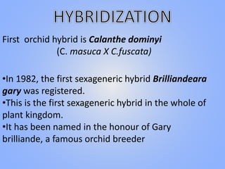 First orchid hybrid is Calanthe dominyi
(C. masuca X C.fuscata)
•In 1982, the first sexageneric hybrid Brilliandeara
gary was registered.
•This is the first sexageneric hybrid in the whole of
plant kingdom.
•It has been named in the honour of Gary
brilliande, a famous orchid breeder
 
