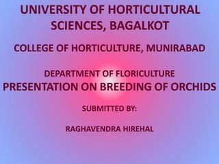 UNIVERSITY OF HORTICULTURAL
SCIENCES, BAGALKOT
COLLEGE OF HORTICULTURE, MUNIRABAD
DEPARTMENT OF FLORICULTURE
PRESENTATION ON BREEDING OF ORCHIDS
SUBMITTED BY:
RAGHAVENDRA HIREHAL
 